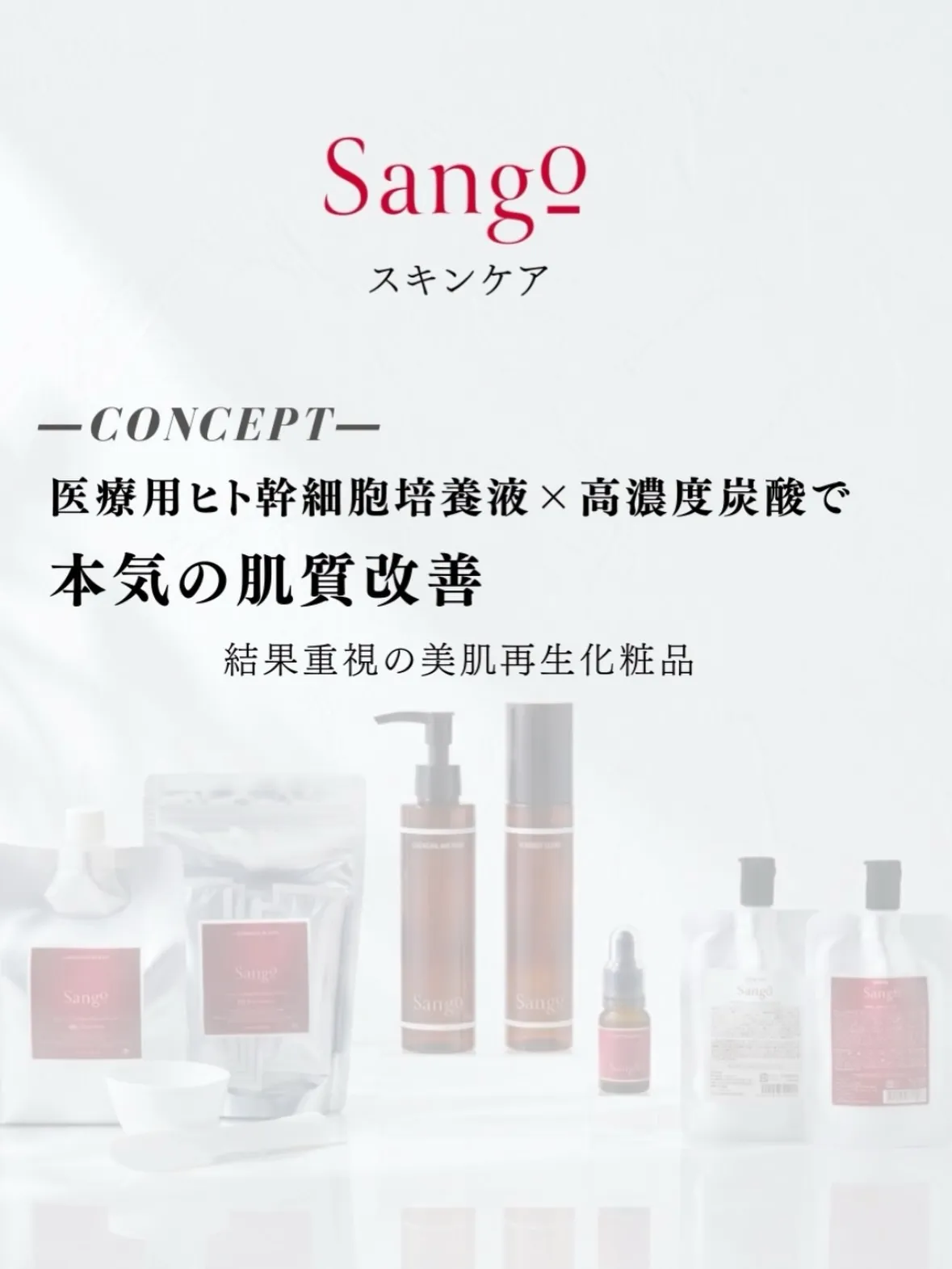 「私が恋したSango。