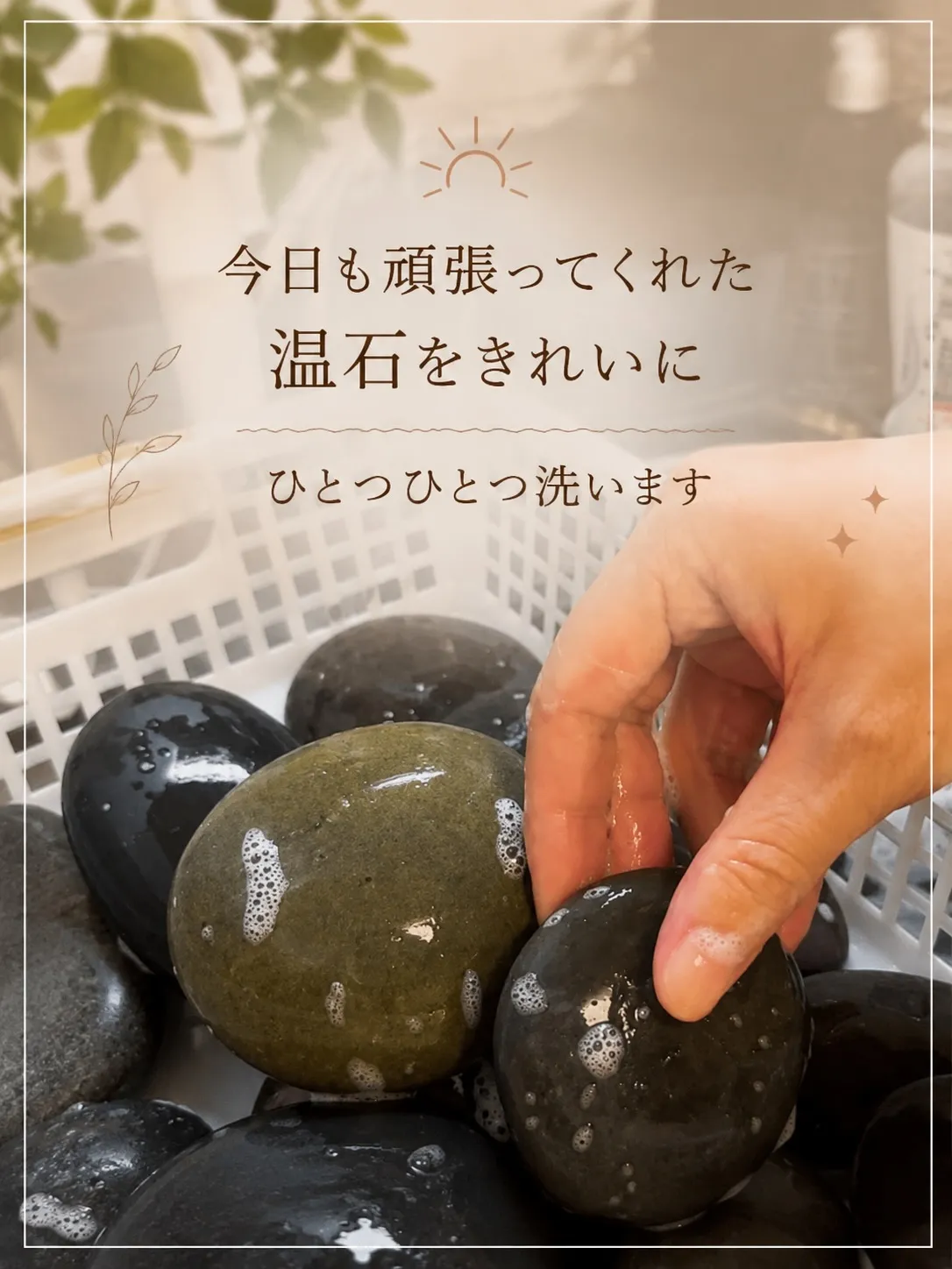 温石さんの1日、のぞいてみる？