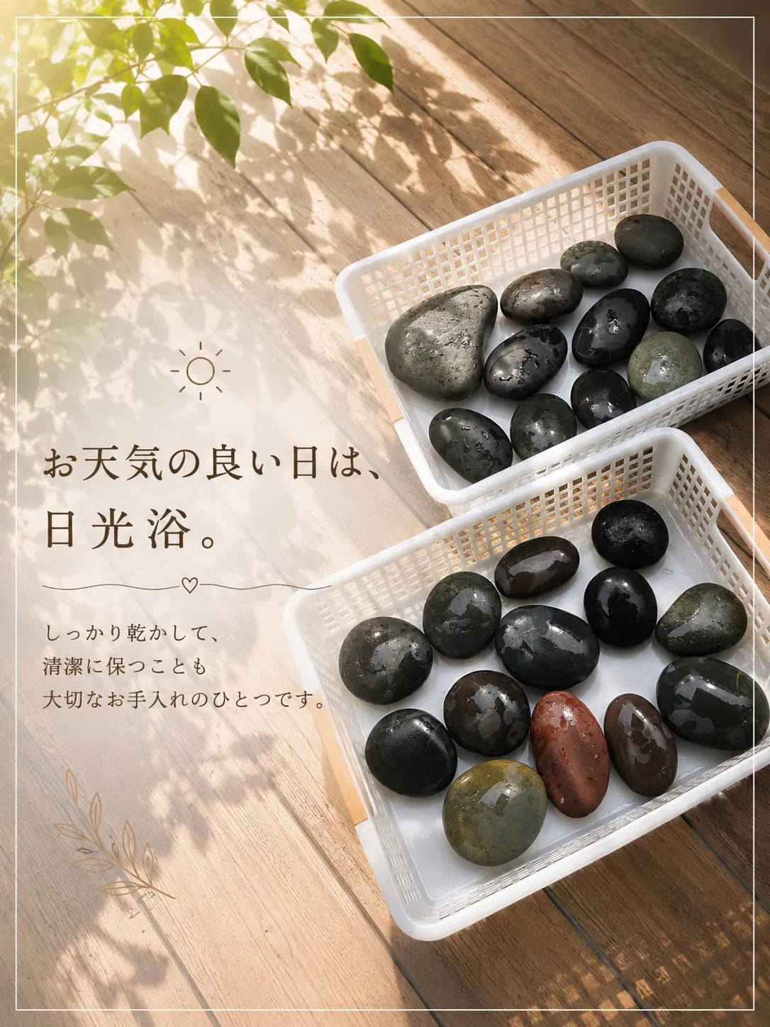 温石さんの1日、のぞいてみる？