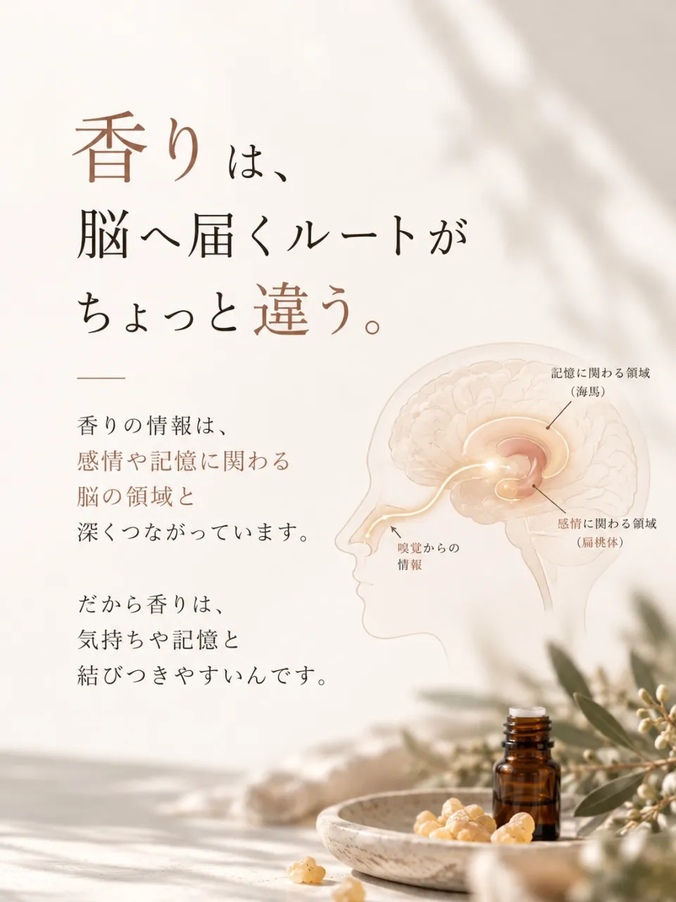 香りって、不思議です。